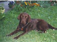 Bild: Portrait von Sandy